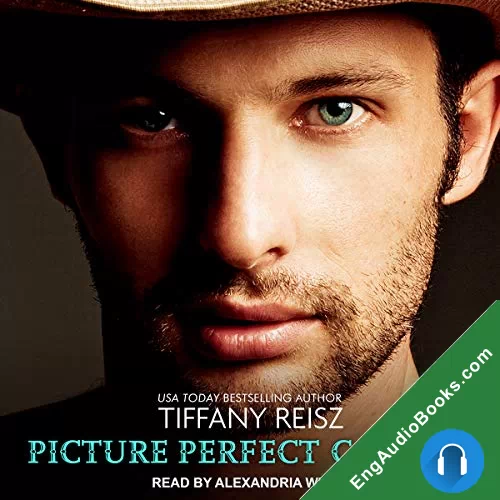 Picture Perfect Cowboy (The Original Sinners #8.5) by Tiffany Reisz audiobook listen for free