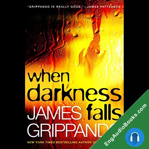 When Darkness Falls by James Grippando audiobook listen for free